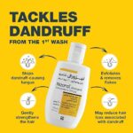 71WejvGF6YL._AC_SX522_