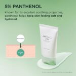 Skin1004 Centella Tea-Trica B5 Cream 75ml