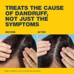 71WejvGF6YL._AC_SX522_